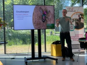 Workshop over de ecologie en diversiteit van bijen en wespen